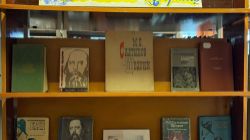 Мир книг Салтыкова-Щедрина.