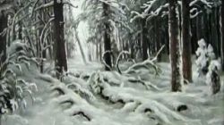 Дорогие читатели! Жемчужниковская библиотека предлагает вашему вниманию литературную рубрику 