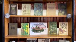 Благословляю Вас, леса!