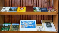 Край Одоевский литературный.