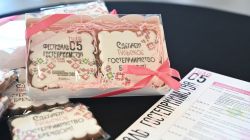 Радушный тульский край: в кластере «Октава» прошёл фестиваль гостеприимства