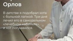 Кто станет лучшим ветеринарным фельдшером региона?