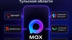 Все цифровые сервисы Тульской области — в одном боте MAX